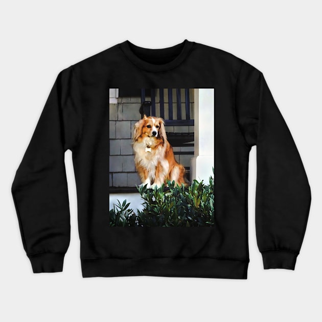 Spaniel on Porch Crewneck Sweatshirt by SusanSavad